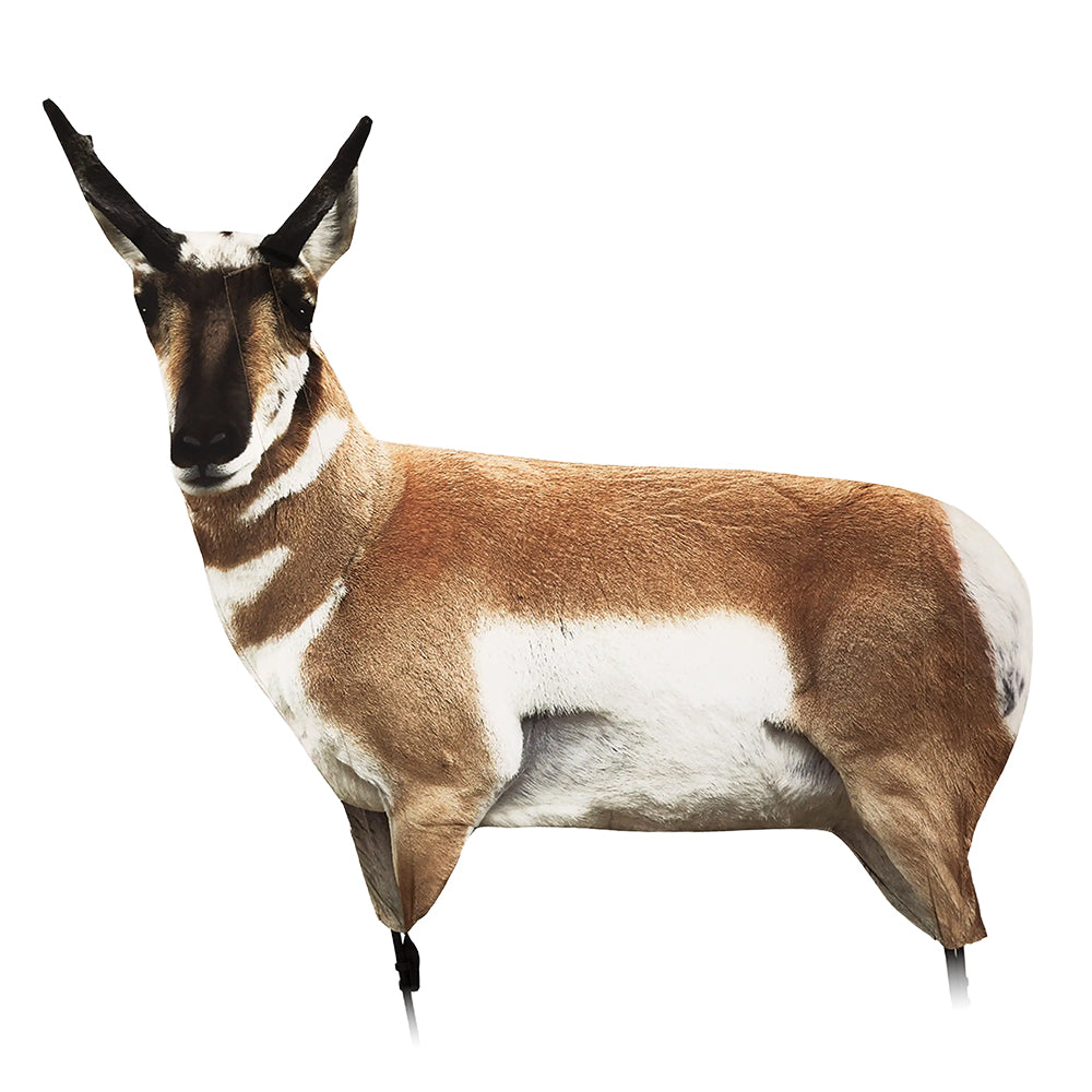 A full-body side view of a decoy pronghorn antelope with curved horns, isolated on a solid white background.